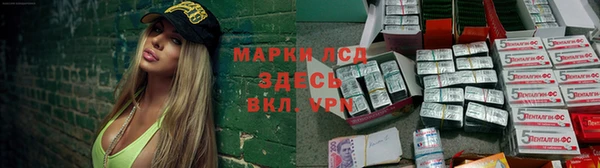 шишки Богородицк