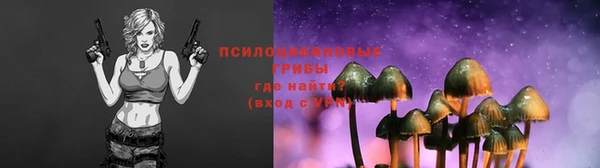 ALPHA PVP Белокуриха