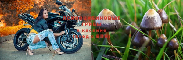 гидропоника Белоозёрский